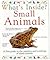 What's Inside ? Small Animals