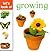 Let's Look at: Growing