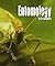 Entomology