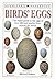 Birds' Eggs