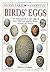 Birds' Eggs