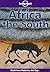 Africa -- the South (Lonely Planet Guide)