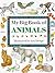 My Big Book of Animals (My Big Book of (Hermes/Lorenz))