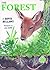 Forest (Our Changing World)