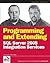 Programming and Extending S...