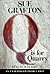 Q Is For Quarry (Kinsey Millhone #17)