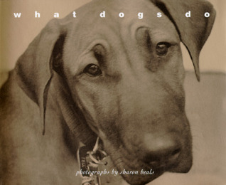 What Dogs Do (Hardcover)