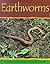 Earthworms (Minibeasts)