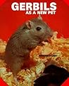 Gerbils As a New Pet