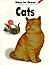 How to Draw Cats