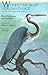 Where the Blue Herons Dance: New Tales from the Mississippi Gulf Coast