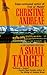 A Small Target (Lee Squires, #3)