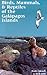 Birds, Mammals, and Reptiles of the Galápagos Islands by Andy Swash