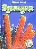 Blastoff! Readers: Sponges
