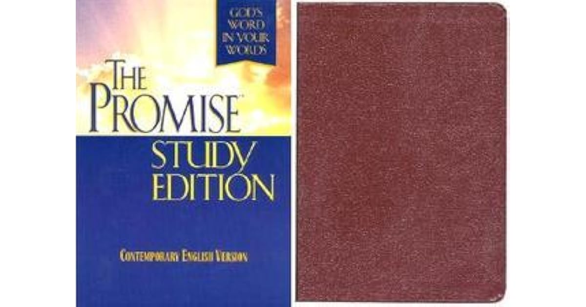 Promise Study Bible Contemporary English Version (CEV), burgundy
