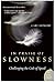 In Praise of Slowness by Carl Honoré