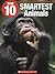 The 10 Smartest Animals