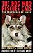 The Dog Who Rescues Cats: T...