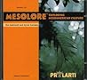 Mesolore: Exploring Mesoamerican Culture