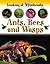 Ants, Bees and Wasps (Looking at Minibeasts)
