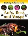 Ants, Bees and Wasps (Looking at Minibeasts) Ants, Bees and Wasps (Looking at Minibeasts)