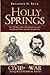 Holly Springs:: Van Dorn, the CSS Arkansas and the Raid That Saved Vicksburg (Civil War Series)