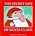 The Secret Life of Santa Claus by Grégoire Solotareff