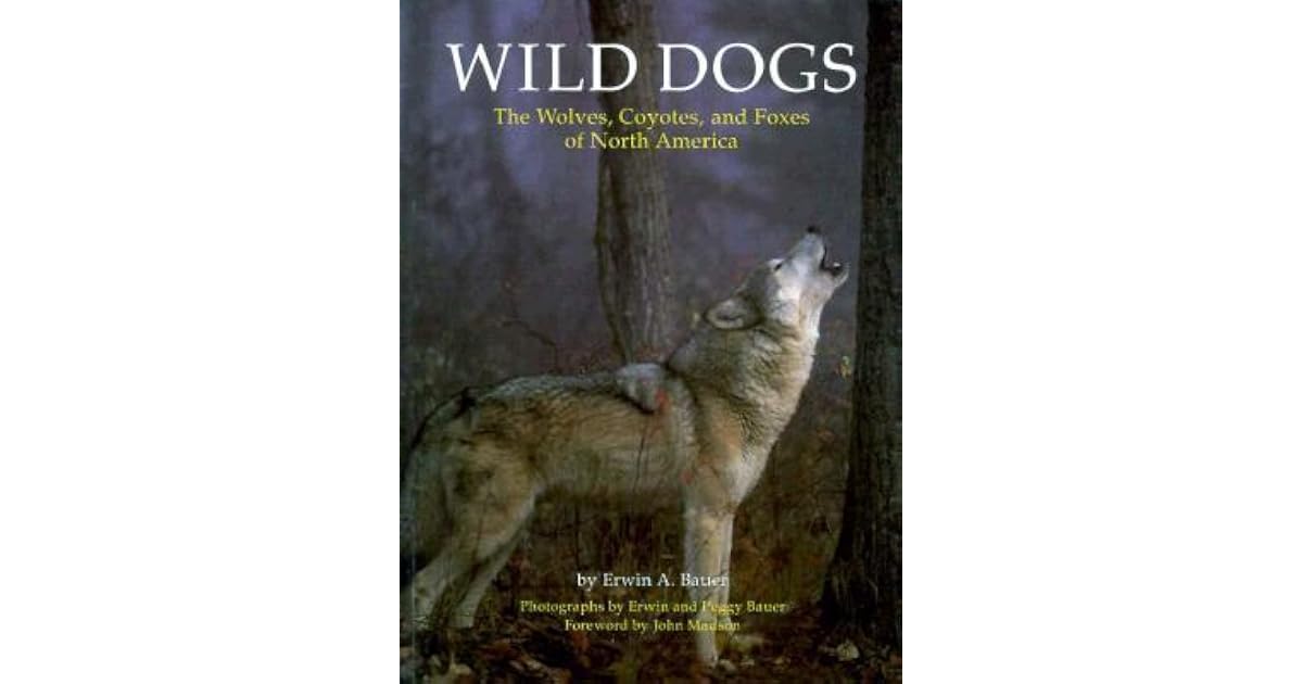 Wild Dogs The Wolves Coyotes And Foxes Of North America - 