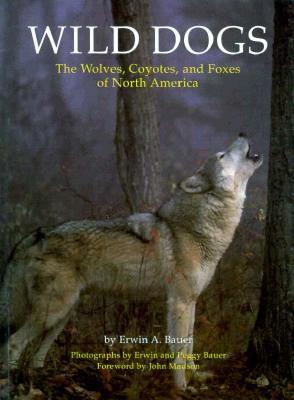 Wild Dogs: The Wolves, Coyotes, and Foxes of North America (Paperback)
