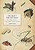 The Insect and the Image: Visualizing Nature in Early Modern Europe, 1500-1700