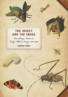 The Insect and the Image: Visualizing Nature in Early Modern Europe, 1500-1700 (Paperback)