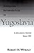 American Intervention in Yugoslavia: A Diplomatic History Since 1991