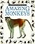 Amazing Monkeys