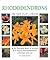 Rhododendrons by Lin Hawthorne