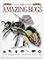 Amazing Bugs by Miranda MacQuitty
