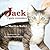 Jack el gato curandero (Spanish Edition)