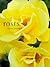 Roses (A Care Manual)