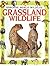 Grassland Wildlife