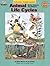 Animal Life Cycles: Birds, Amphibians, Insects: Grade 1-3