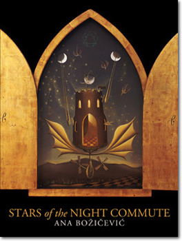 Stars of the Night Commute (Paperback)