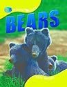 Bears (QEB Animal Lives)