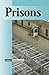 Current Controversies - Prisons (hardcover edition)