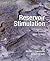 Reservoir Stimulation by Michael J. Economides