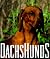 Dachshunds by Jane  McDonald