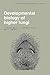 Developmental Biology of Higher Fungi by D. Moore