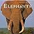 Elephants