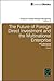 The Future of Foreign Direct Investment and the Multinational Enterprise (Research in Global Strategic Management, 15)