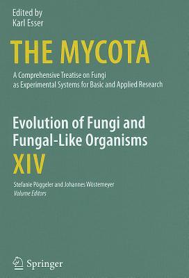 Evolution of Fungi and Fungal-Like Organisms (The Mycota, 14)