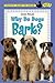 Why Do Dogs Bark?