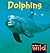 Dolphins (In the Wild)